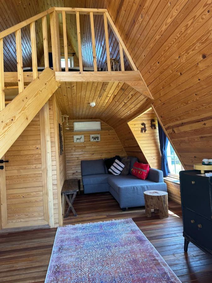 Seyyah Cafe Bungalows Aliaga Eksteriør billede