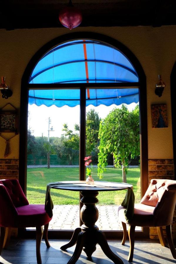 Seyyah Cafe Bungalows Aliaga Eksteriør billede